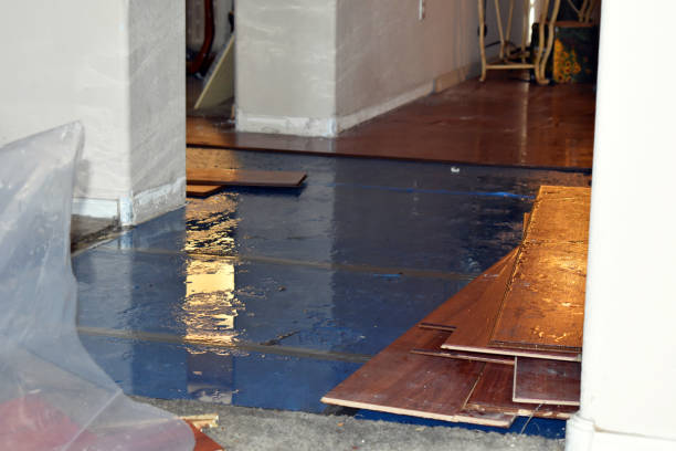 Professional Emergency Water Damage Restoration technician working in Belmont, MI